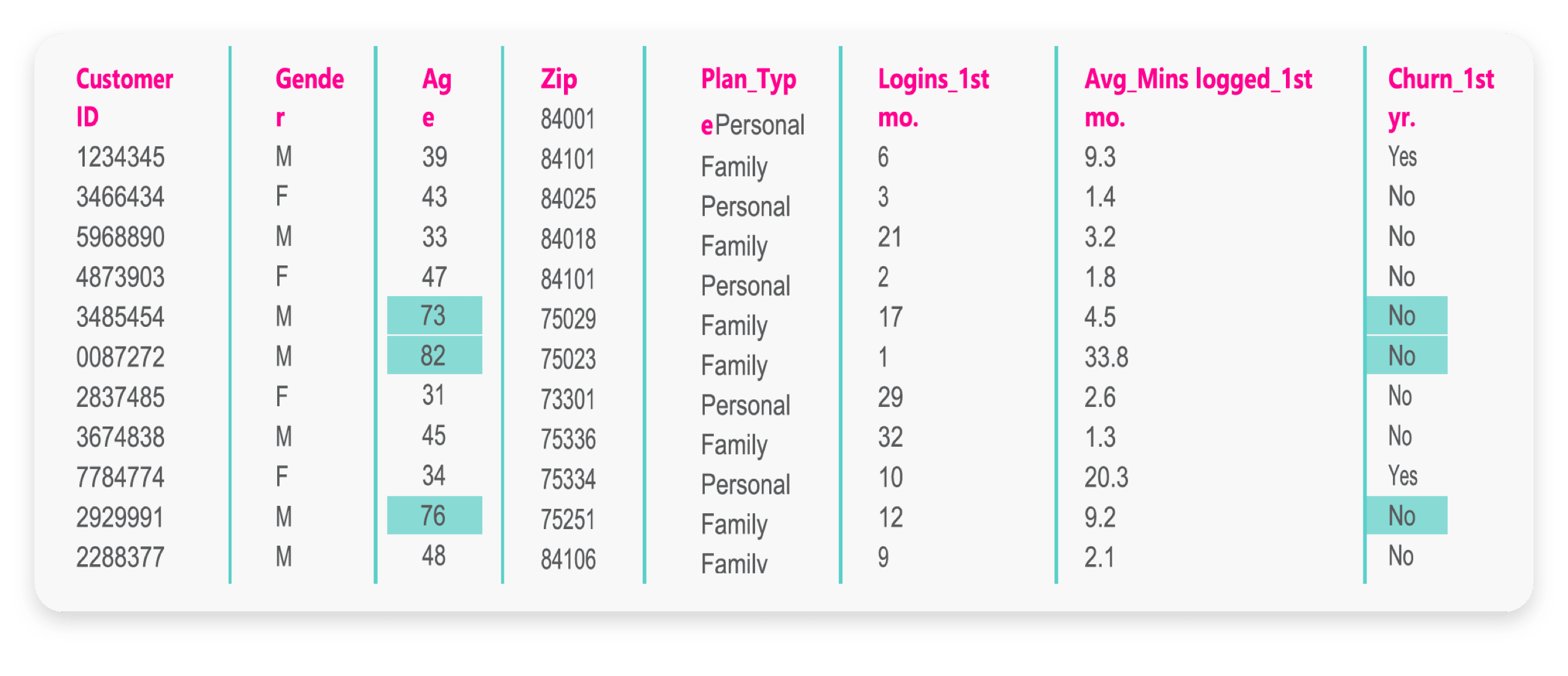 Table displaying customer data, including ID, gender, age, zip code, plan type, logins in the first month, average minutes logged in the first month, and churn status in the first year.
