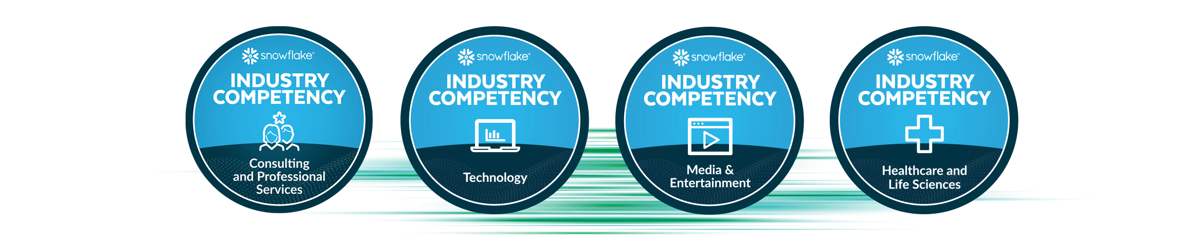 Five circular badges labeled "Industry Competency" with icons and text: Consulting and Professional Services, Technology, Media & Entertainment, Healthcare and Life Sciences, and Financial Services.